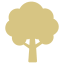 Tree Icon